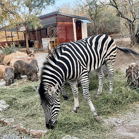 Kholiwe On Kruger Lodge & Safaris Marloth Park Dış mekan fotoğraf