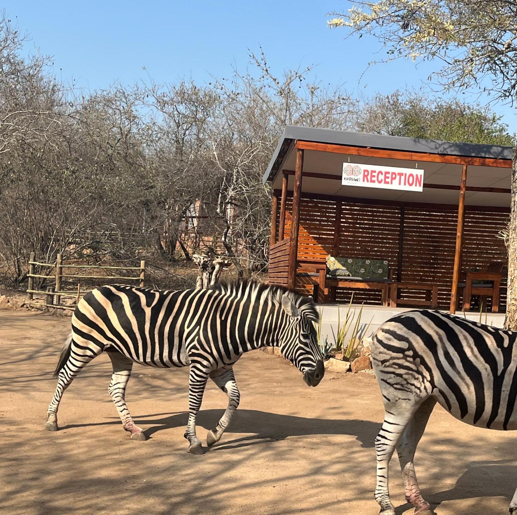 Kholiwe On Kruger Lodge & Safaris Marloth Park Dış mekan fotoğraf