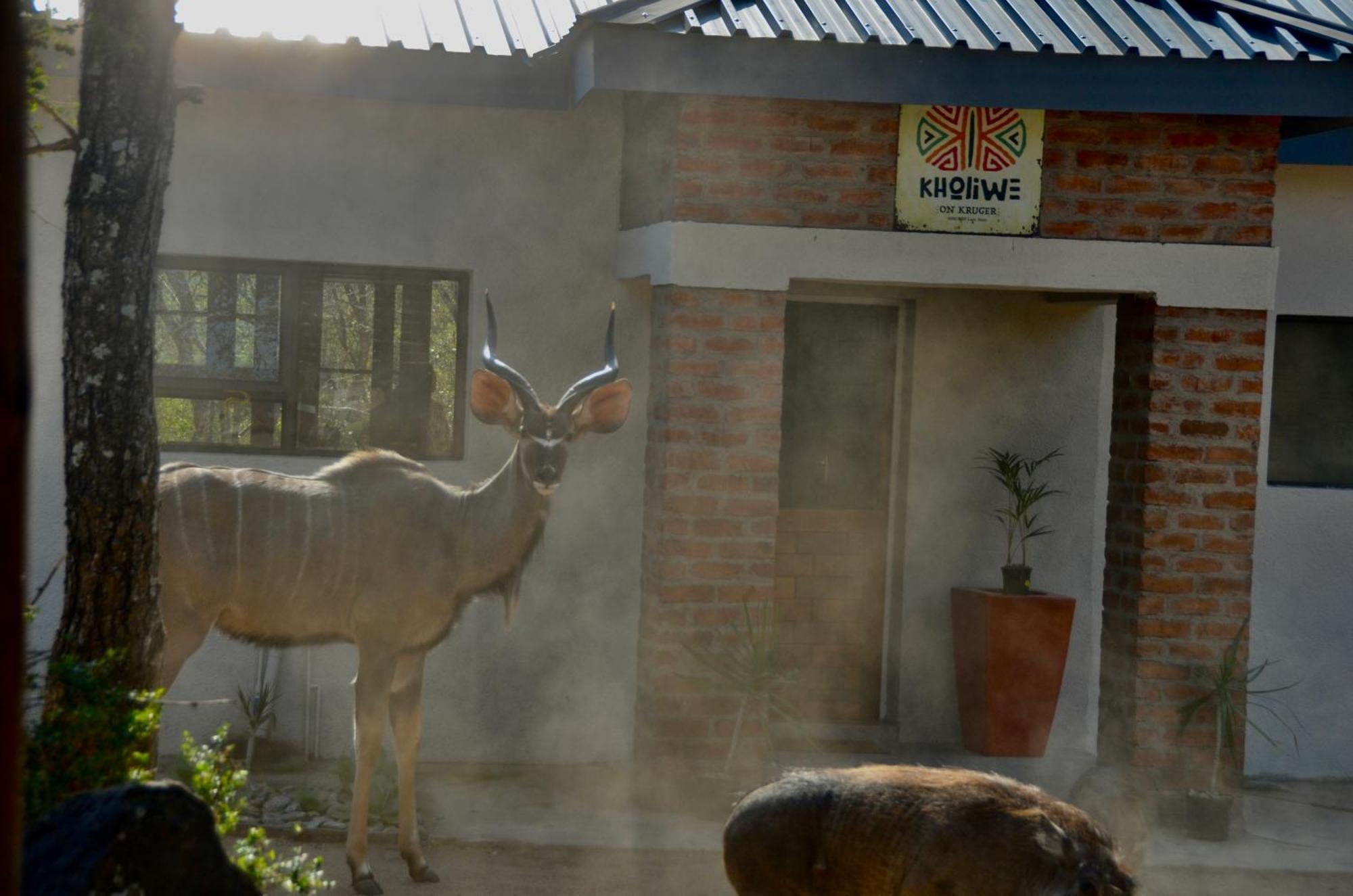 Kholiwe On Kruger Lodge & Safaris Marloth Park Dış mekan fotoğraf
