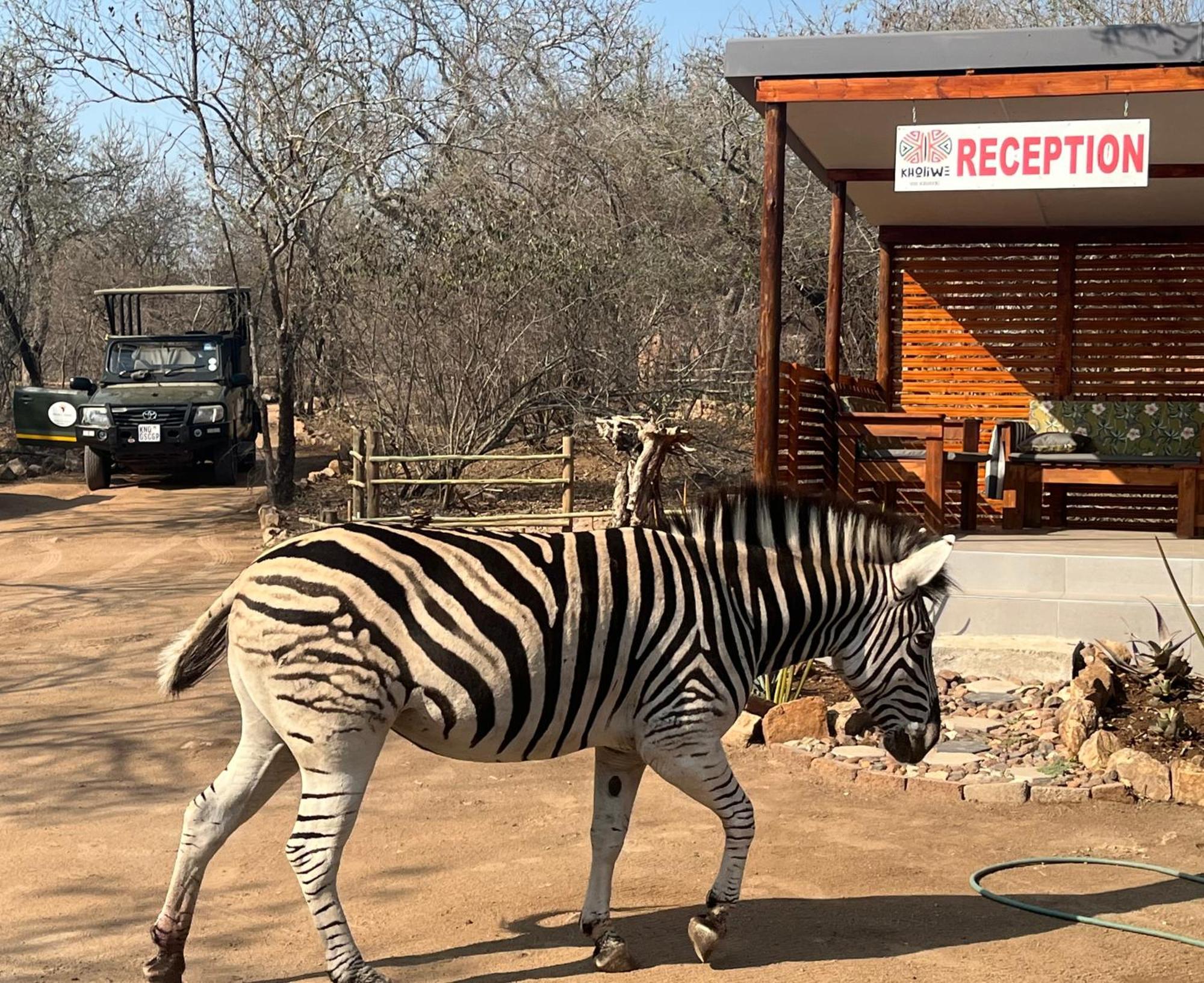 Kholiwe On Kruger Lodge & Safaris Marloth Park Dış mekan fotoğraf