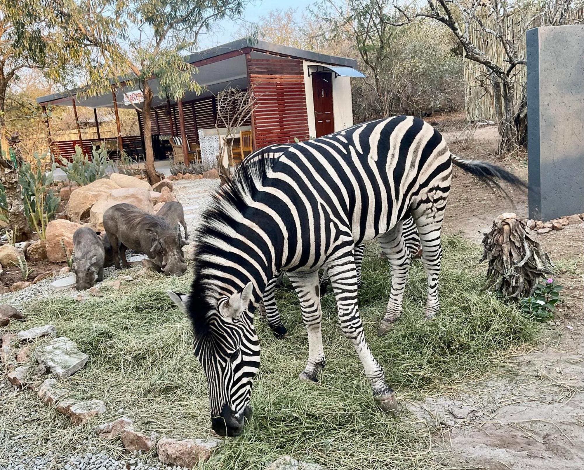 Kholiwe On Kruger Lodge & Safaris Marloth Park Dış mekan fotoğraf