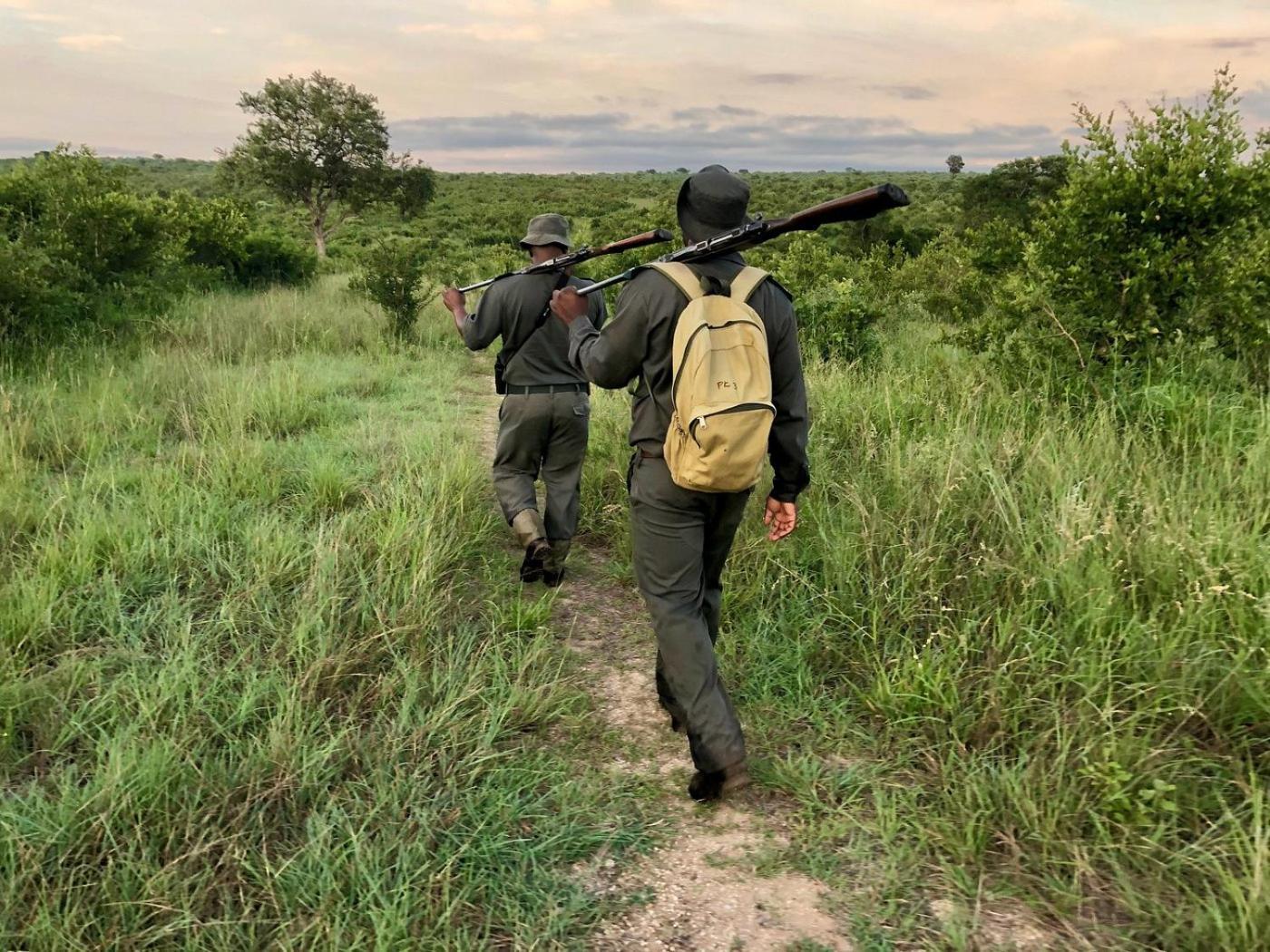 Kholiwe On Kruger Lodge & Safaris Marloth Park Dış mekan fotoğraf